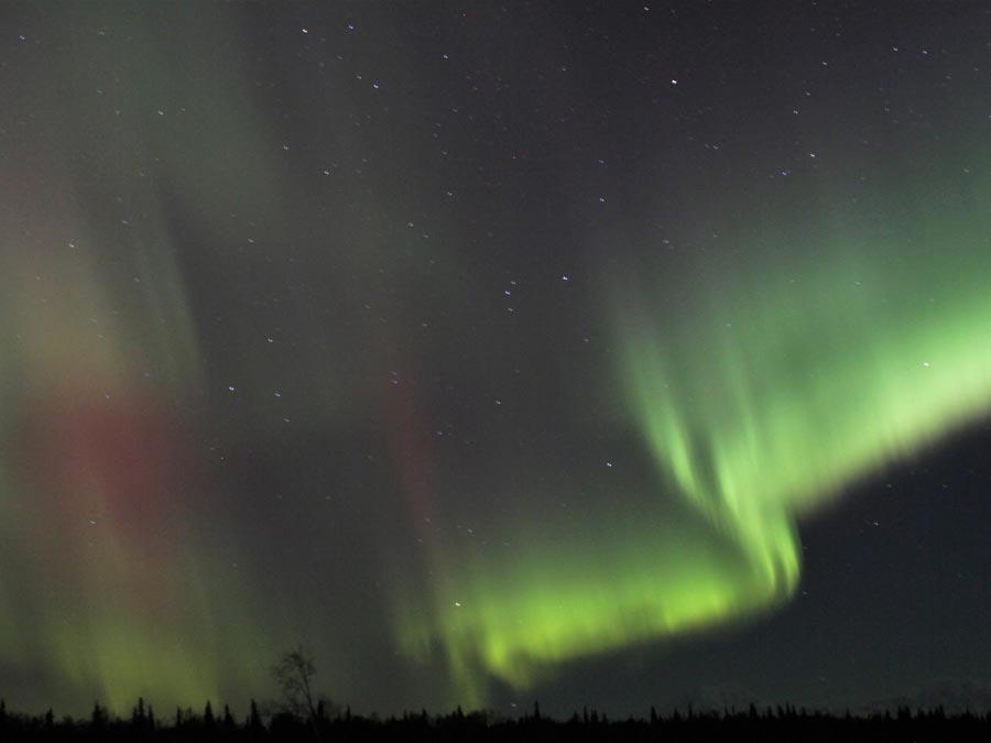 See norhtern lights in Alaska